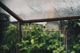 Wet