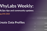 WhyLabs Weekly: Creating powerful data profiles