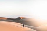 15 — The Wide Desert