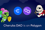Cherubs DAO Receives a Grant From Polygon Ecosystem DAO