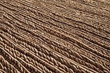 outside-carpet-1