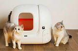 PETKIT PURA MAX — The Self-Cleaning Cat Litter Box