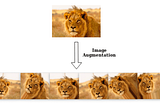 Carnivores Image Classification using Google Colab