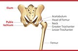Is It Possible To Determine The Cause Of Your Hip Pain