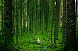 ChatGPT Can’t Pee in the Woods