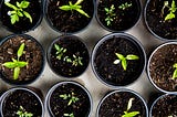 Building Scalable and Maintainable Web Applications: Proven Strategies
