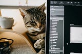 Cats in the Digital Age: Are Smartphones & Tablets Good for Felines?