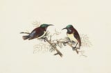 a painting of two birds seemingly talking to each other.