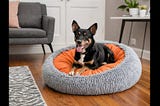 Stylish-Dog-Beds-1