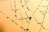 Five Insights Into Why & How Organizations Should Strive for Better Information Strategies Amid…