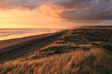 sunset by the seaside. the light is tangerine and grey. on the left is the ocean, gentle lapping waves. a narrow stretch of dark beach follows to the right, and the, a stretch of beachgrass, light orange and black in the shadows.