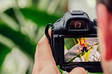 Capturing the Magic: A Beginner’s Guide to Mastering Photography 1/9