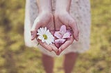 A young woman’s hands holding a couple of flowres