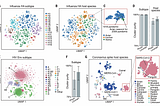 [ML UTD 36] Machine Learning Up-To-Date — Life With Data