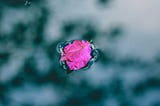 The subtle art of surrender