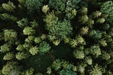 🧬 Exploring Python’s Abstract Syntax Trees (AST): Write Code That Understands Code