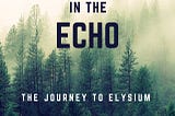 Lost in the Echo