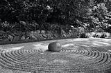 Greyscale photo of stone near leaves