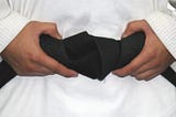 Why we should drop Job Tittles and use the Martial Arts belt system in your organization?