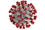 The Beautiful Irony of Coronavirus