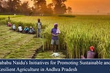 N Chandrababu Naidu’s Initiatives for Promoting Sustainable and Climate-Resilient Agriculture in…