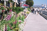 Urban Resilience: Lessons at Newport Beach, CA.