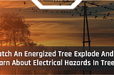 Watch An Energized Tree Explode And Learn About Electrical Hazards In Trees