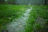 When Your Stress Doesn’t Look Like Panic: Box Breathing, Rain Sounds, and the Small Art of Coming…