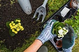 Organic Gardening’s Importance to the Garden Ecosystem