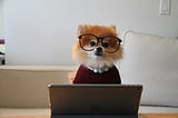 Dog with glasses behind a tablet.