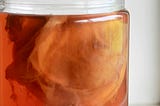 I Fed My Gut Bacteria Kombucha for 30 Days — They’ve Formed a Union