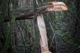 The Tree Snapped in Half