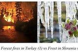 CHANGE FOR THE WORSE: FOREST FIRES IN TURKEY AND FROST IN SLOVENIA