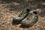 Walking 350 Miles with the Altra Lone Peak 3.5