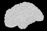 A digital image of a brain with a black background.