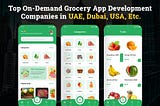 Top On-Demand Grocery App Development Companies in USA, UAE, Dubai, Etc.