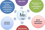 Liberal Arts Blog — Periodic Table XXIII: Manganese — Essential To Human Life, Also Steel Making…