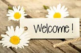 An Introduction!