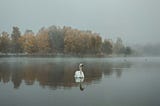 Lonesome Traveler