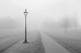 Lamp posts along a trail in the fog.