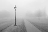 Lamp posts along a trail in the fog.