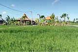 Considerations for Conducting User Interviews in Indonesia