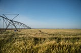 Remote sensing for improved water and land productivity in Agriculture using WaPOR.
