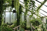 A Greenhouse, a Goddess, and a Ghost