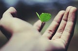 A small plant growing out of an out-reached hand