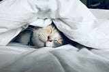 Restorative Sleep