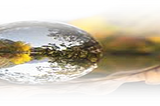 Reflections on Moral Quandaries and Ambiguities