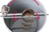 Rolling Log Bucket Mouse Trap for Humane Catch or Kill | Image