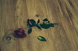 Red roses scattered on floor representing heartbreak, toxic relationships, and healing journey