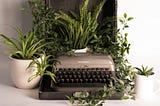 How I’ve Overcome My Writer’s Block